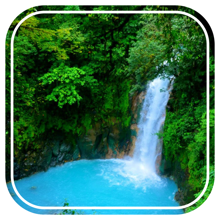 Rainforest Tour: RÃo Celeste Excursion