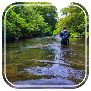 Fishing Experience (River)