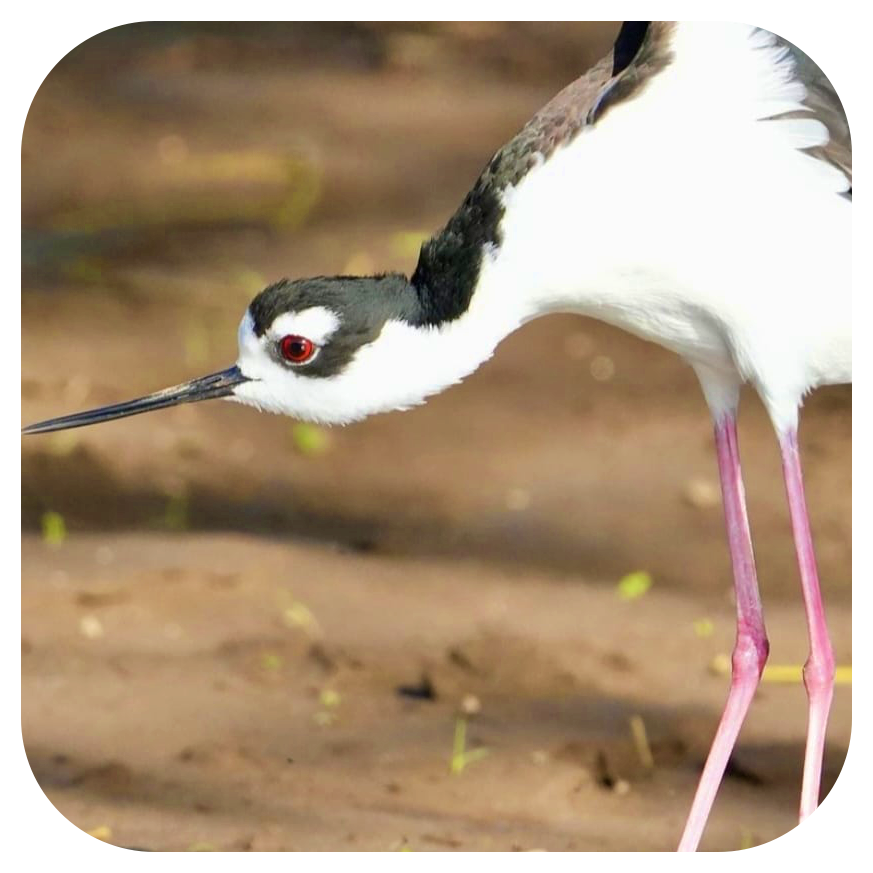 WhatsApp Image 2025-02-11 at 07.21.27